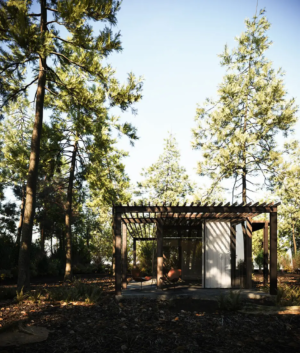 1491.Exterior-House-Scene-Sketchup-File-free-download-by-Leo-Nguyen-1-scaled