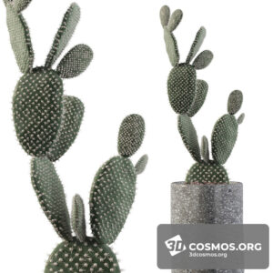 Plants- Indoor-2808499.5e9de233aadcb