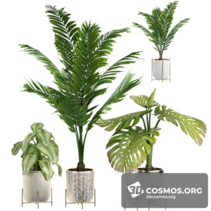 Plants- Indoor-2810871.5e9f4e5a425ec