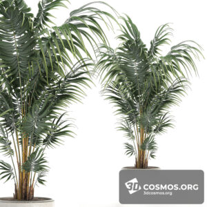 Plants- Indoor-2813345.5ea172443e6ca