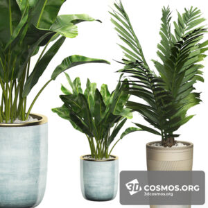 Plants- Indoor-2815397.5ea2ce184007b