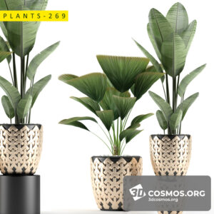Plants- Indoor-2816176.5ea33cd3b315c