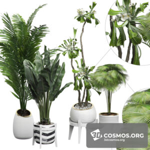 Plants- Indoor-2820028.5ea6a164d2d10