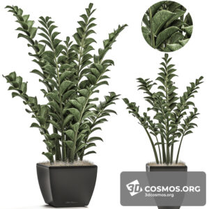 Plants- Indoor-2824242.5ea977f4f0c43