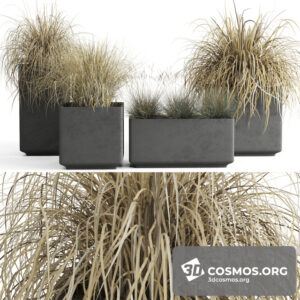 Plants- Indoor-2844781.5eb97ef4060d2