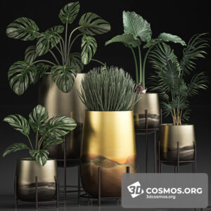 Plants- Indoor-2848041.5ebbf2ab1c1d5