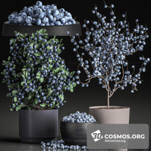 Plants- Indoor-2852426.5ebeace3786a8