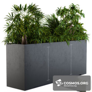 Plants- Indoor-2860276.5ec46478a7110