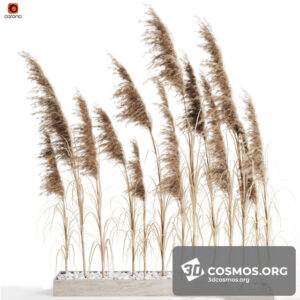 Plants- Indoor-2868931.5ecbf122cd9d2