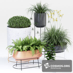 Plants- Indoor-2873621.5ecf9adae5be3