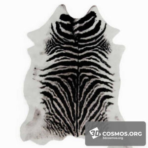 Decoration- Carpets-2875436.5ed1022983dfa