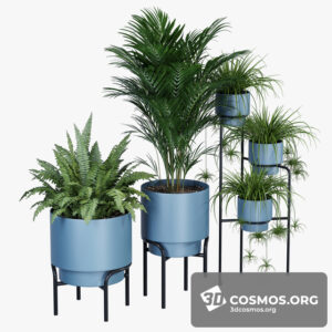 Plants- Indoor-2894290.5ee1e6b5575c9
