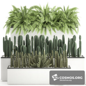 Plants- Indoor-2897321.5ee4b6d14dd07