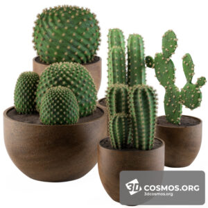 Plants- Indoor-2897874.5ee533383b572