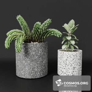 Plants- Indoor-2939367.5f0c64965be91