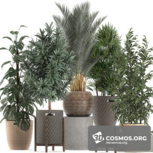 Plants- Indoor-2939375.5f0c67aee358b