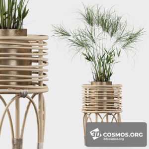 Plants- Indoor-2942694.5f0eb2c014efc