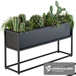 Plants- Indoor-2990048.5f3a7cdeb9130