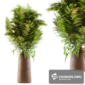 Plants- Indoor-2992859.5f3cf70ff036e