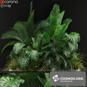 Plants- Indoor-2993047.5f3d185c47679