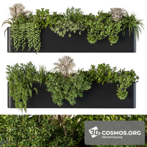 Plants- Indoor-3029389.5f5f768c87ef5