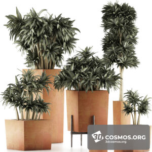 Plants- Indoor-3031364.5f612c9abf5ea