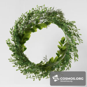 Plants- Indoor-3038179.5f67c32072acb