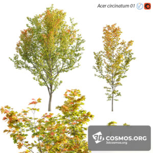 Plants- Indoor-3038987.5f6860823dd3a