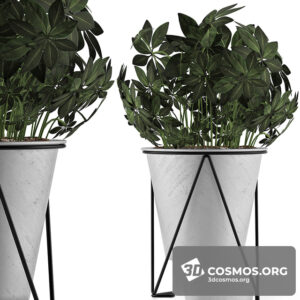 Plants- Indoor-3043605.5f6c0c01650b0