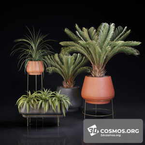 Plants- Indoor-3051306.5f73571a47867