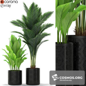 Plants- Indoor-3055647.5f772fcead410