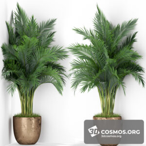 Plants- Indoor-3059317.5f7b306bc5f07