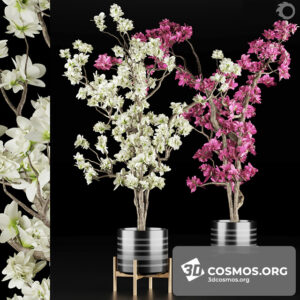 Plants- Indoor-3066087.5f81a634effad