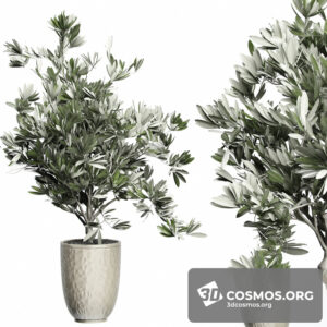 Plants- Indoor-3075955.5f8ab056a28ec