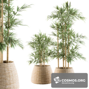 Plants- Indoor-3077139.5f8c22d18d891