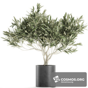 Plants- Indoor-3080338.5f8ea2fea7a7a