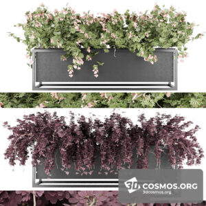 Plants- Indoor-3130845.5fb999d406669