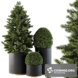 Plants- Indoor-3131153.5fba230fdfcc6