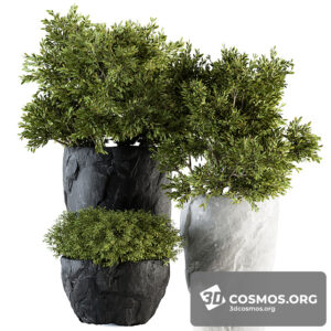 Plants- Indoor-3168745.5fd625cf78ee6