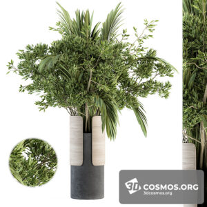 Plants- Indoor-3175215.5fda7bd521993