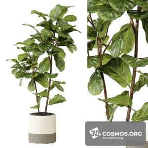 Plants- Indoor-3198072.5fee1110e0eaf