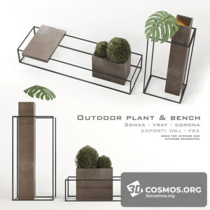 Plants- Indoor-3202312.5ff340e985a71