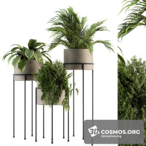 Plants- Indoor-3208883.5ff98ae285619