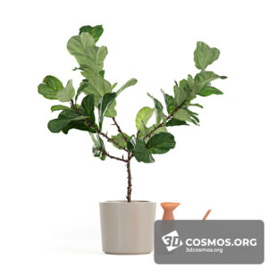 Plants- Indoor-3217355.5ffebd489a7bf