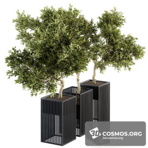 Plants- Indoor-3223878.60040c84492b3