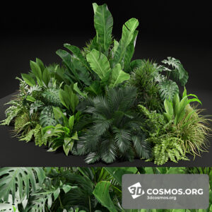 Plants- Indoor-3262121.60200c72e7149