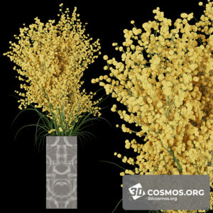 Plants- Indoor-3272837.6027083e5a62b