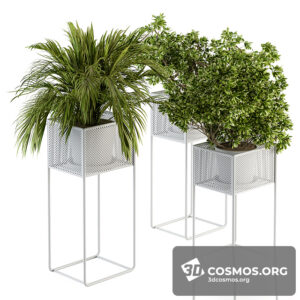 Plants- Indoor-3275371.6029b20f19f78