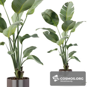 Plants- Indoor-3276246.602a5fd60dd90