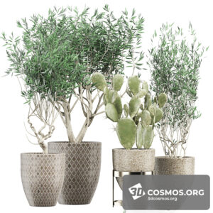 Plants- Indoor-3279938.602cfae0e9263